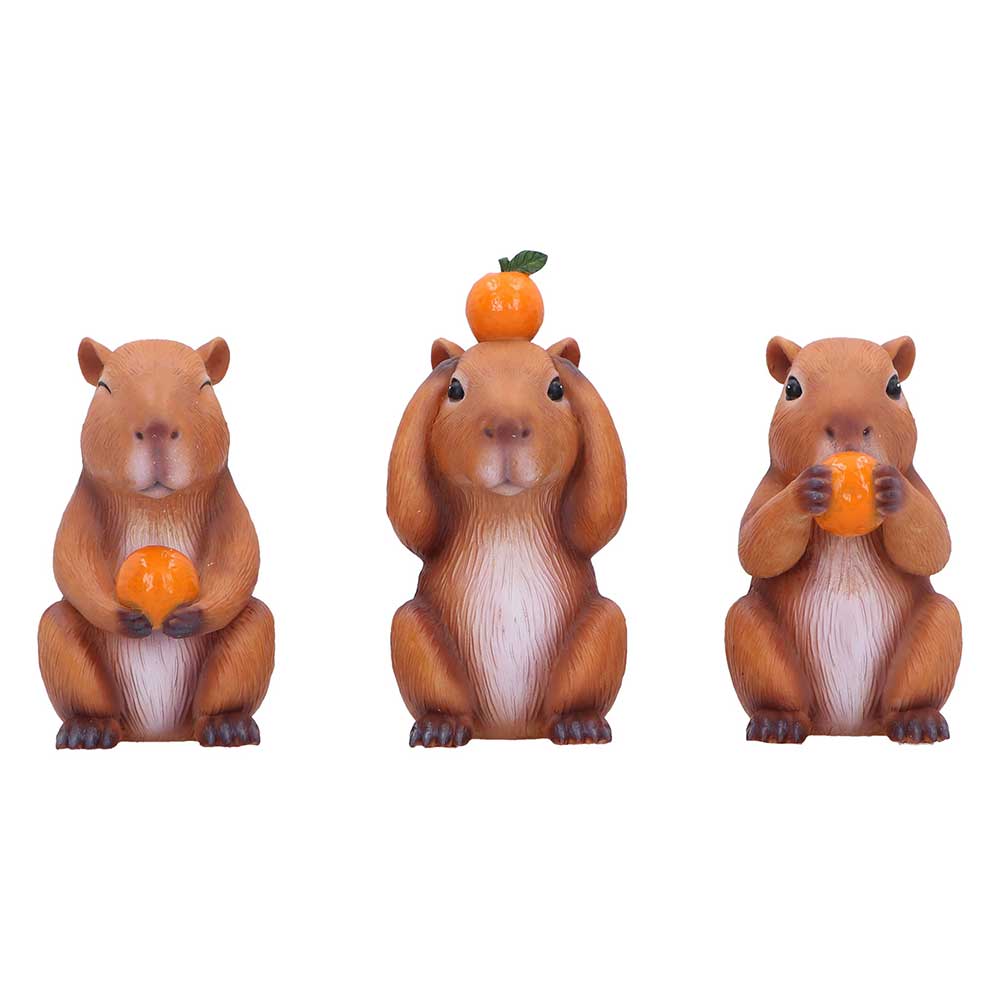 Animal Collection