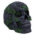Aged Pentagram skull 18.8cm