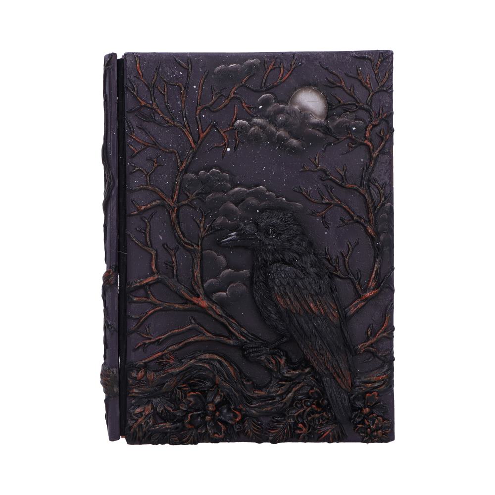 Raven Grimoire 19cm