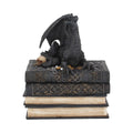 Secrets of the Dragon 19cm