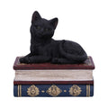Salem Spells 11.7cm