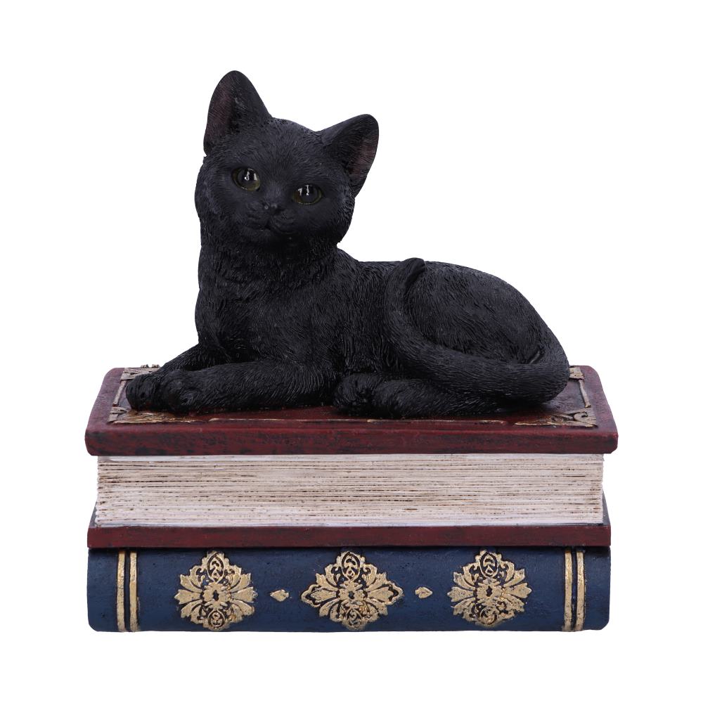 Salem Spells 11.7cm