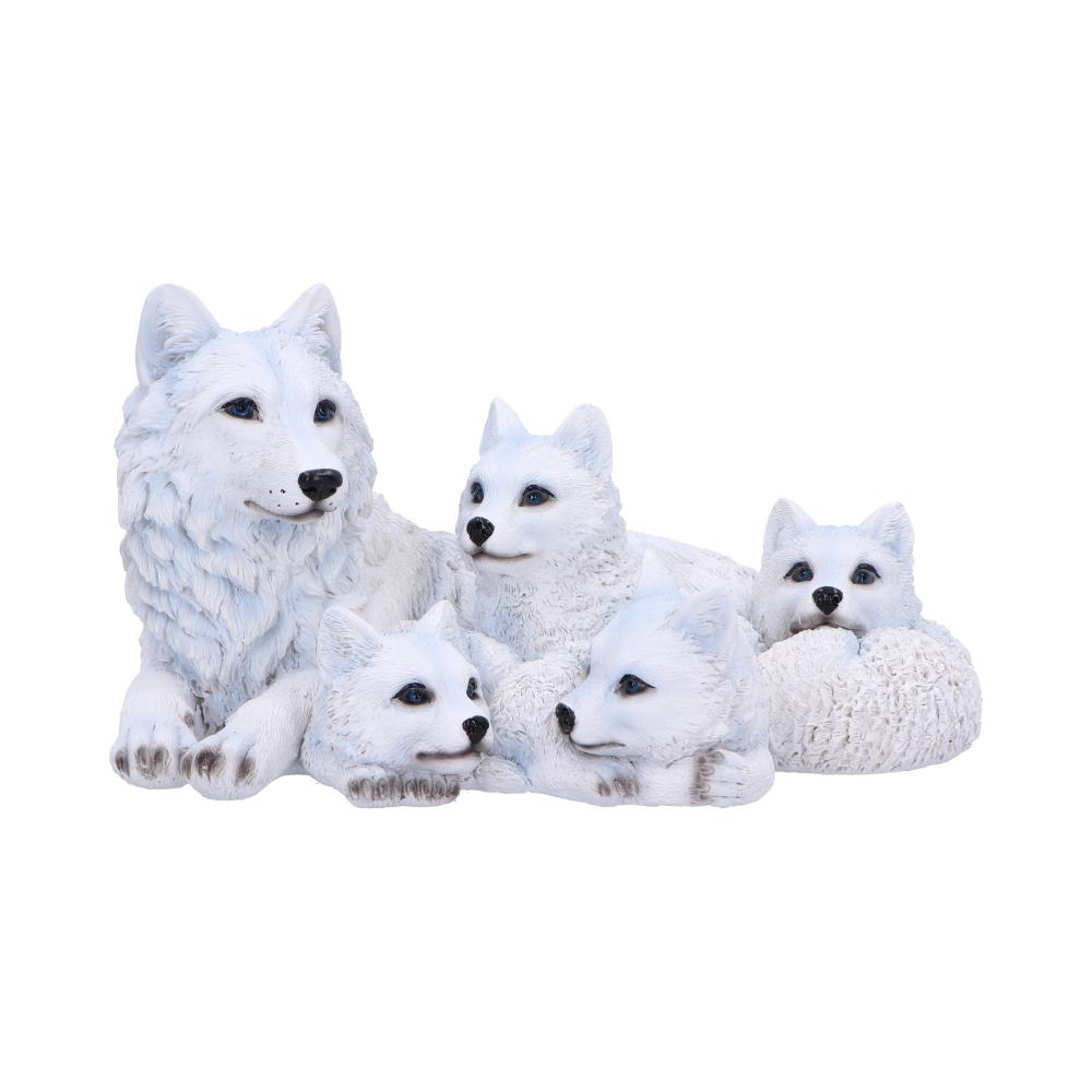 Pups Protection  20.5cm